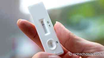 Lateral Flow Tests Are 95% Effective at Detecting COVID-19 When Used Soon After Symptoms Start