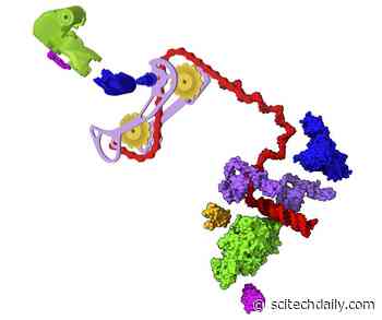 Deconstructing the Infectious Biological Weaponry of the COVID-19 Virus