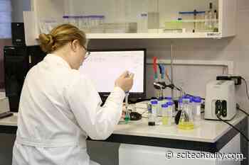 Chemists Find an Effective Remedy for “Aged” Brain Diseases Such As Alzheimer’s and Parkinson’s