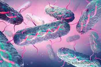 MIT Researchers Devised a Way To Program Memories Into Bacterial Cells by Rewriting Their DNA