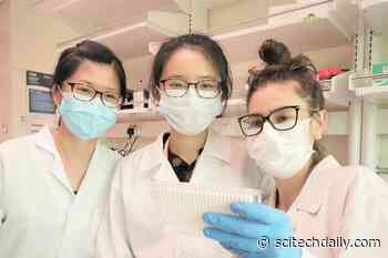 Innovative New Way To Detect the SARS-CoV-2 Alpha Variant in Wastewater