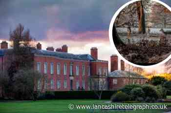 North West National Trust site one of UK's most ‘Instagrammable'