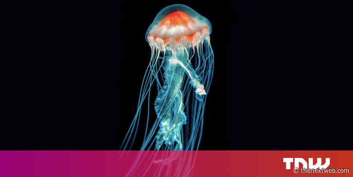 How nature has inspired scientists’ most powerful technologies