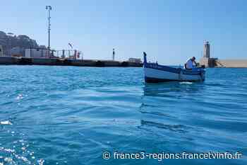 Nice : les pointus électriques séduisent de plus en plus les particuliers - France 3 Régions