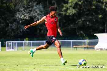 OGC Nice : Stengs est venu en Ligue 1 pour… - Sport.fr