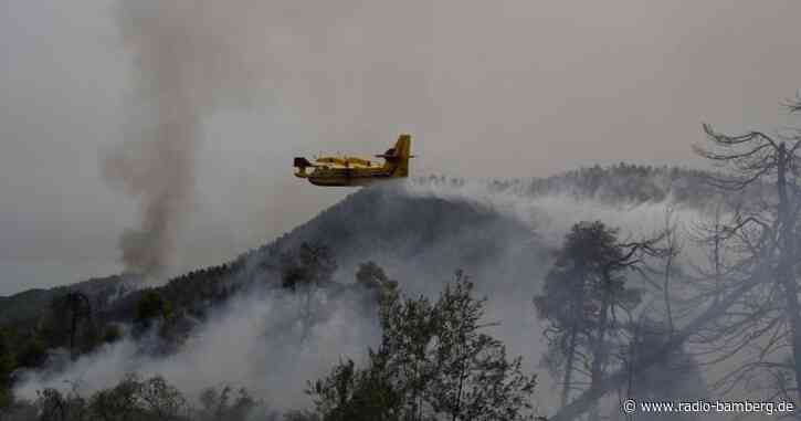 Bayern bietet Griechen Hilfe bei Waldbrandbekämpfung an