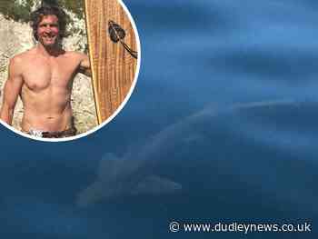 'Absolutely beautiful': Sharks spotted by paddleboarders in sea at UK beach - Dudley News