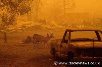 Fears over return of fire-friendly weather in Northern California - Dudley News