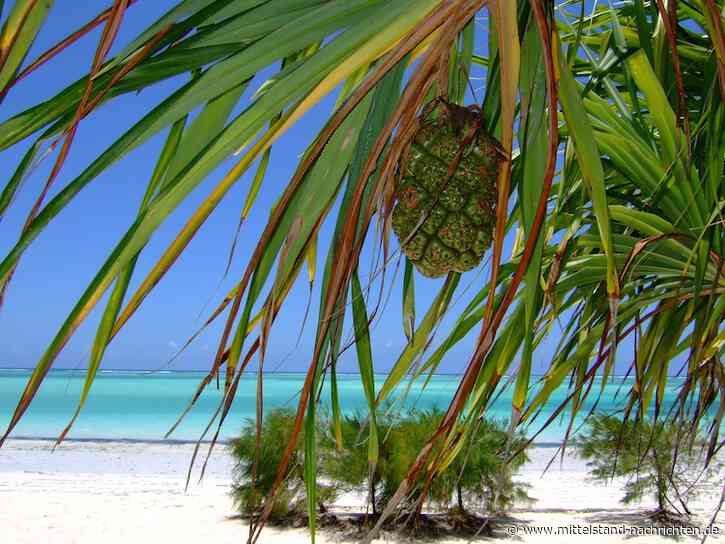 Sansibar: Forschungsprojekt stärkt Selbstfinanzierung