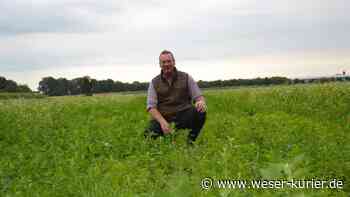 Beetle Bank in Lilienthal: Wo sich Insekten tummeln sollen - WESER-KURIER - WESER-KURIER