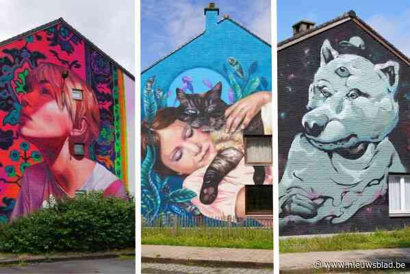 Nieuw Gent staat plots vol spectaculaire graffiti: “Er is hier zoveel onvervuld potentieel”