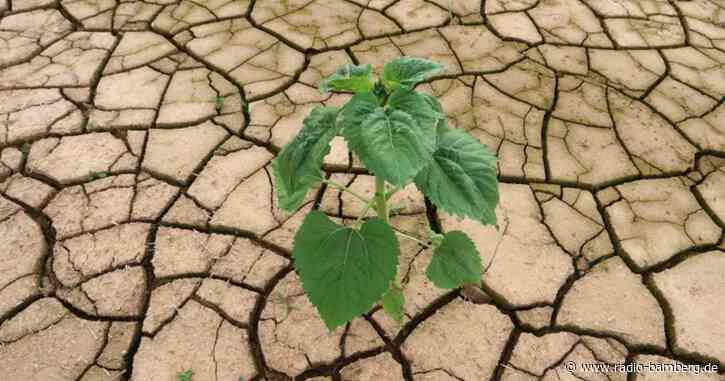 Klimabericht sagt drastische Klimawandel-Folgen voraus