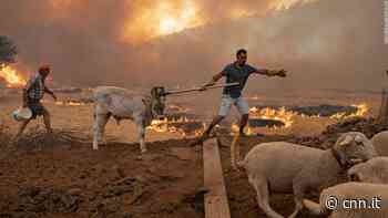'Code red for humanity': Scientists warn window is closing to avoid catastrophic changes to life on Earth