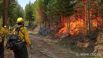 Some B.C. evacuation alerts lifted as rain lowers wildfire danger, but relief not expected to last