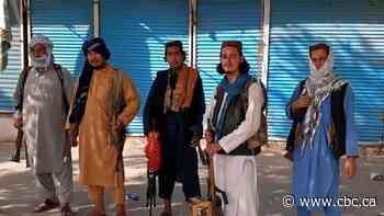 Taliban takes 2 more provincial capitals in relentless Afghanistan offensive