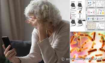 Faecal transplants from young to old mice prevent cognitive decline, study finds