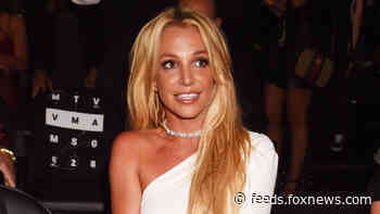 Britney Spears channels Selena Gomez when she feels ‘hopeless’: ‘Kill them with kindness’