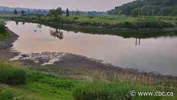 Manitoba hill cancels next winter's ski season over 'unprecedented' drought conditions