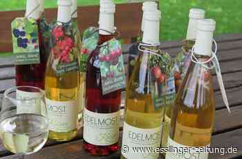 Süffiges aus Ostfildern - Edler Stoff statt traditioneller Most - esslinger-zeitung.de