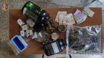 Cardano al Campo, un "cannabis market" nella villetta di famiglia: arrestato giovane spacciatore - VareseNoi.it