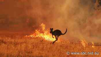 One of the most comprehensive climate reports ever was released last night. Here's what you may have missed