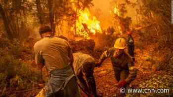 Greece faces 'disaster of unprecedented proportions' as wildfires ravage the country