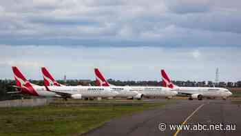 'The government is leaving us behind': Airports call for same financial support as airlines