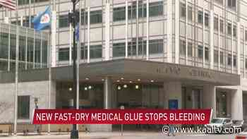 Medical glue inspired by barnacles stops bleeding in seconds - KAAL