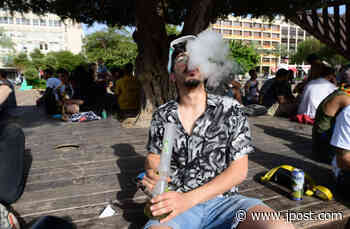 Litzman's medical cannabis reform failed to reach 86% of export goals - The Jerusalem Post