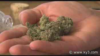 Medical marijuana prices drop as more dispensaries open - KY3