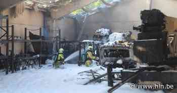 Izegem waarschuwt voor mogelijke PFOS-verontreiniging in Oekensestraat: geen eieren, groenten of fruit uit eigen tuin meer eten - Het Laatste Nieuws