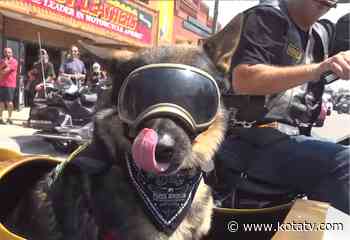 Scott, the 'ruffest' rider attending the Sturgis Rally - Kotatv