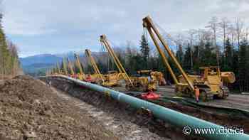 Critics question B.C.'s growing fossil fuel subsidies in wake of dire new climate change report