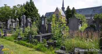 Oudste begraafplaats van Antwerpen wordt in volle glorie hersteld: “Sint-Fredegandus wordt park met stilteplekken” - Het Laatste Nieuws