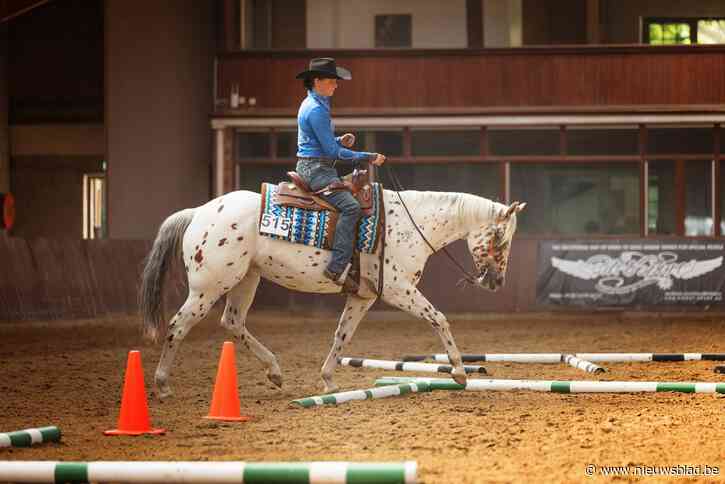 Petra is top in para-reining