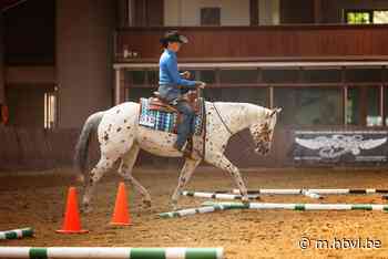 Petra is top in para-reining (Bocholt) - Het Belang van Limburg Mobile - Het Belang van Limburg