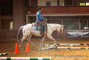 Petra is top in para-reining (Bocholt) - Het Nieuwsblad