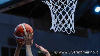 La Vigor Basket Matelica parteciperà alla Coppa Italia Serie C Gold Marche-Umbria - Vivere Camerino