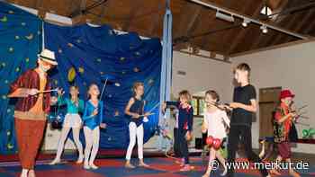 Atemberaubende Akrobatik beim Ferien-Workshop: Großer Zirkus von jungen Naturtalenten - Merkur Online