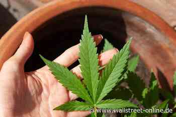 Cannabis-Wissensserie Teil 2: Cannabinoid-Medikamenten gehört die Zukunft! Mit diesem Fonds sind Sie dabei!