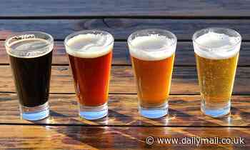 Analysis of 467 beers reveals tens of thousands of unique molecules