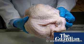 Why salmonella is a food poisoning killer that won’t go away in the US - The Guardian