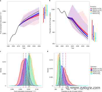 Extreme climate events increase risk of global food insecurity and adaptation needs - Nature.com