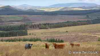 Food processing and marketing grant pot reopens in Scotland - FarmersWeekly