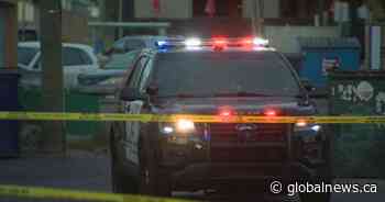 Person in hospital after reported shooting in southeast Calgary: EMS - Global News