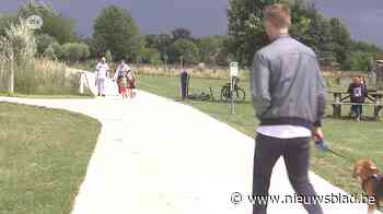 Hove haalt de kaap van negentig procent gevaccineerden