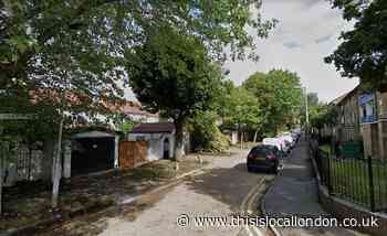 Investigation launched after fatal stabbing in Chingford