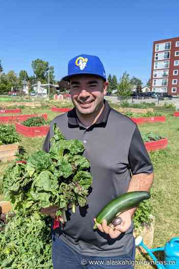 The Amateur Gardener: It really is rewarding - Alaska Highway News