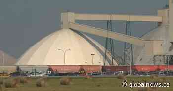 Nutrien reports record second quarter earnings of US$1.1 billion