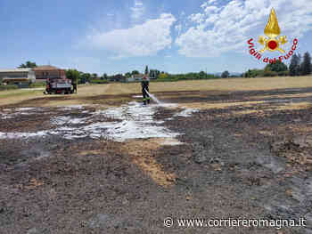 Bertinoro, 500 metri quadri a fuoco in un campo: i pompieri domano l'incendio - Corriere Romagna